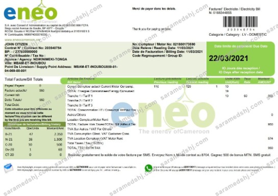 Cameroon ENEO electricity utility bill template in Word and PDF format (current version)